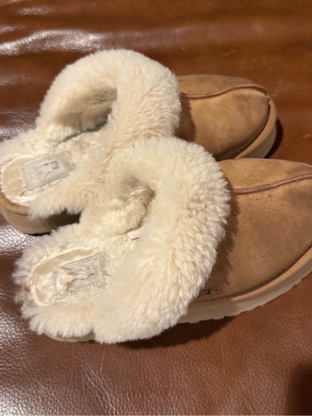 UGG disquette slippers Cozy Chestnut Shearling Clog Slippers for Women - Picture 4 of 6